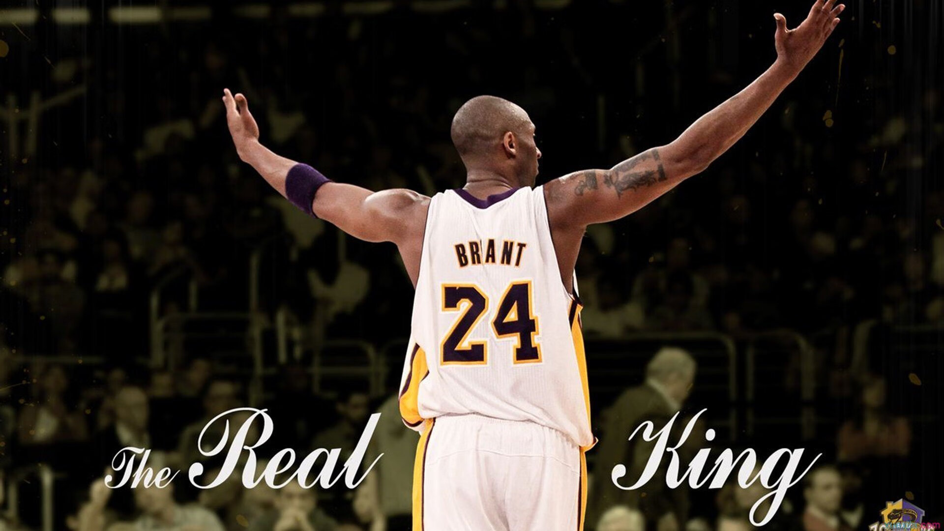 弗拉霍维奇，当巴尔干风暴席卷美利坚防线